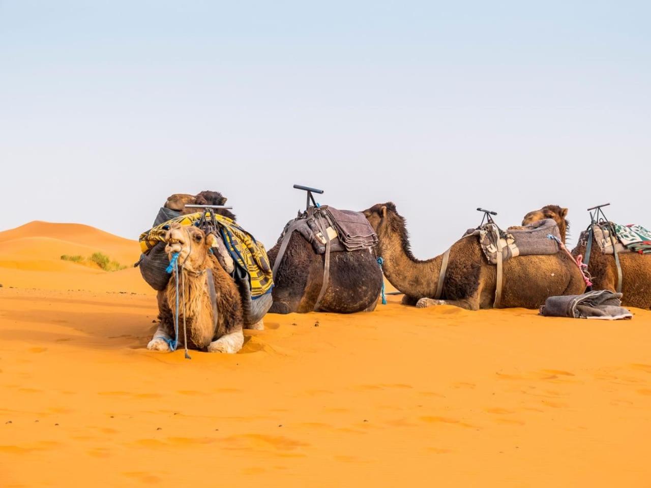 Sunny Place Apartments Merzouga Eksteriør bilde